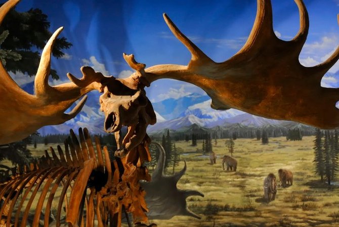 福井县立恐龙博物馆