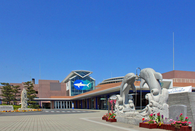 海洋世界茨城县大洗水族馆