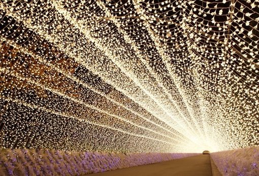 名花之里冬季灯海