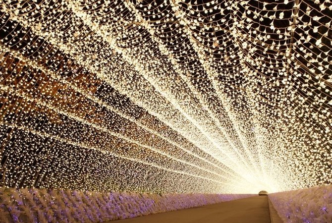 名花之里冬季灯海