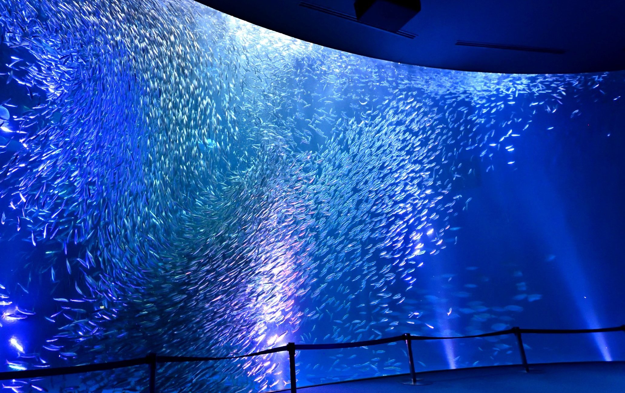 名古屋港水族馆