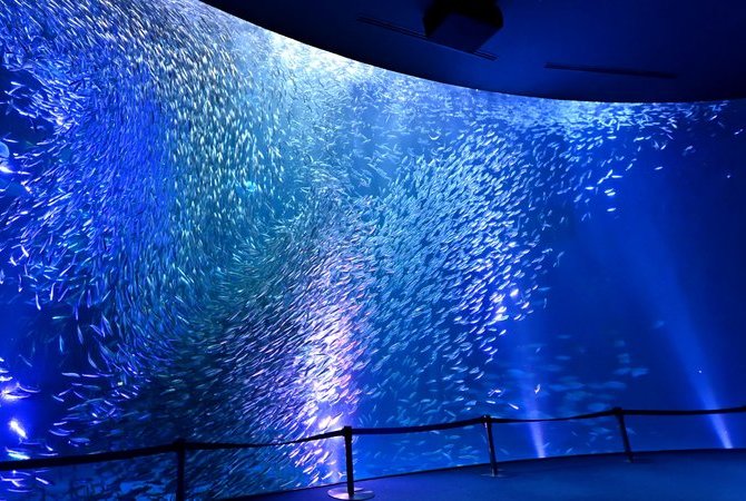名古屋港水族馆
