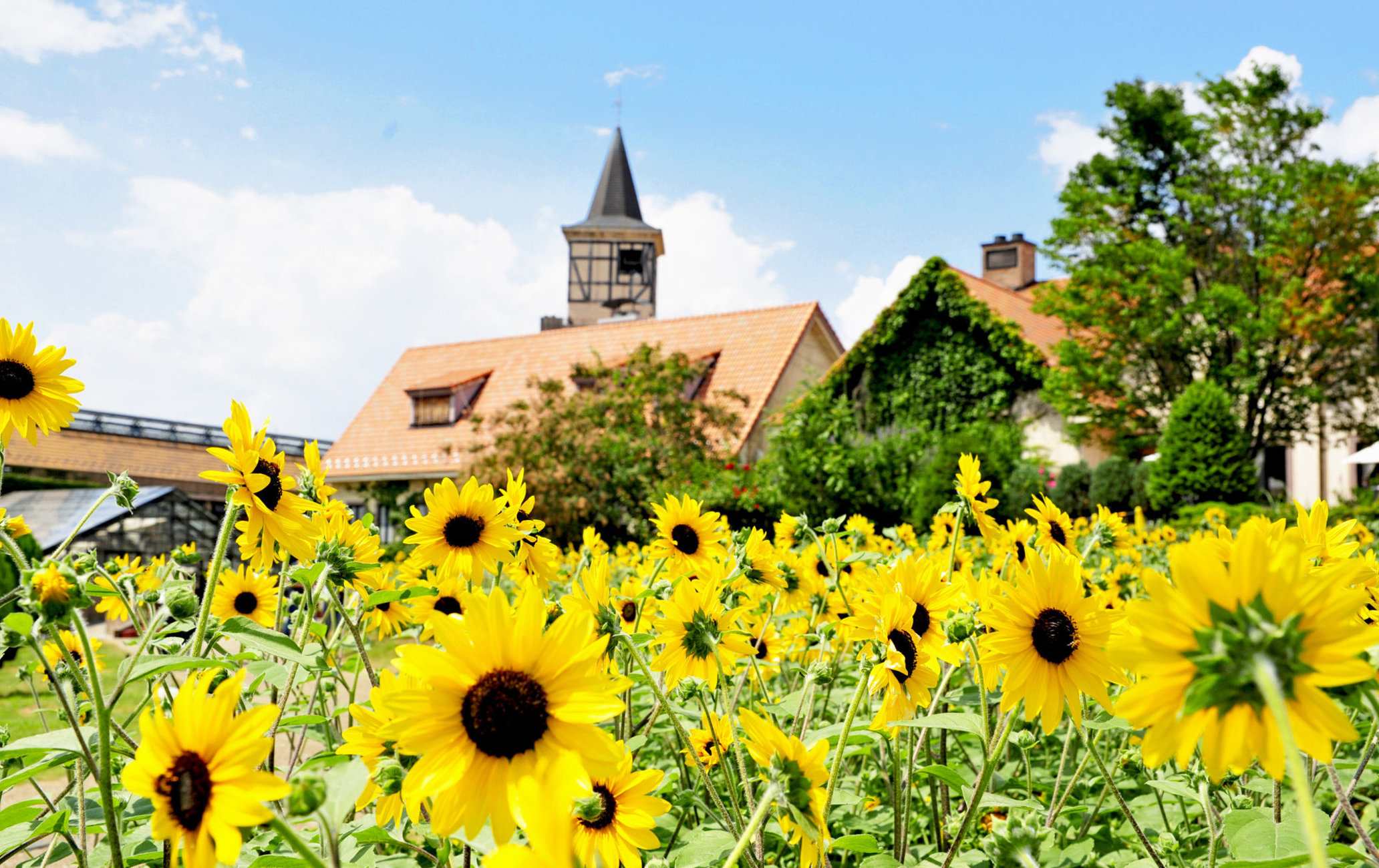 山梨县立花卉中心海蒂村