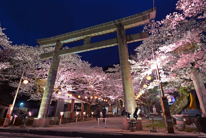 鬼怒川温泉夜樱祭