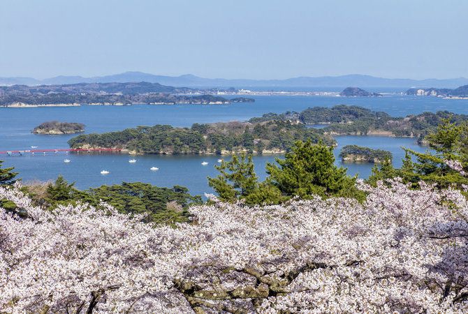 松岛湾环岛观光船