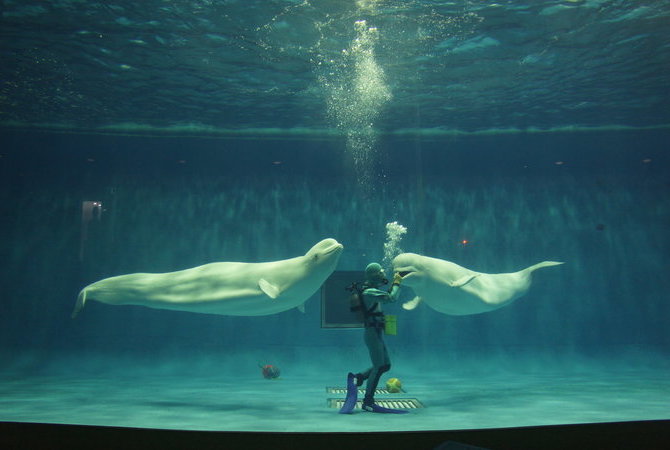 动物园及海洋馆