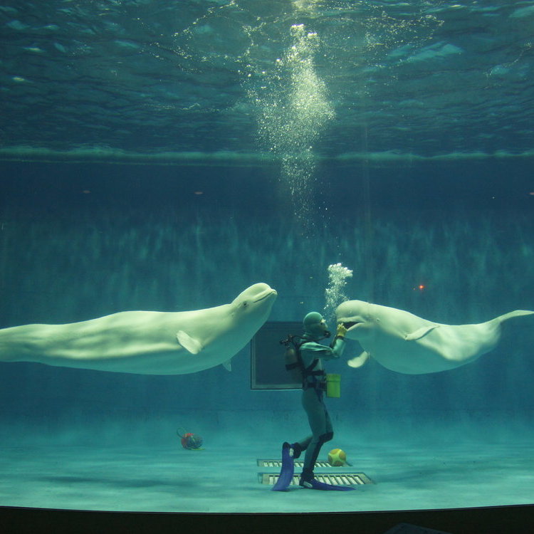 动物园及海洋馆