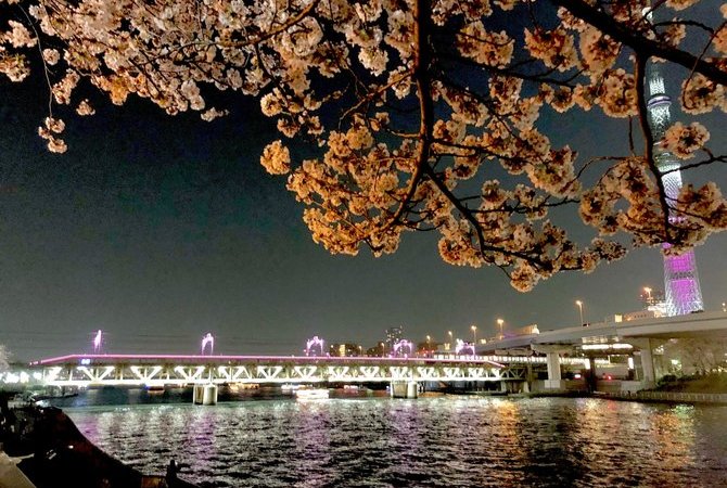 隅田公园樱花祭