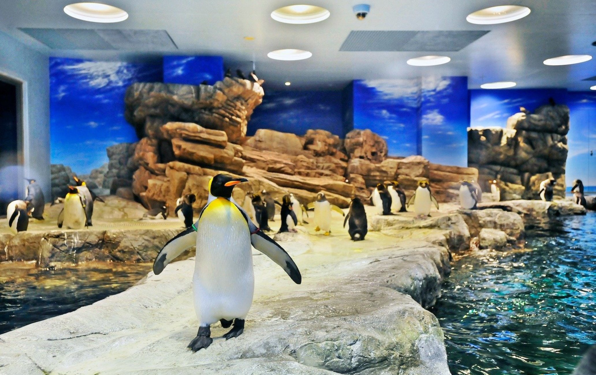 下关市立下关水族馆·海响馆