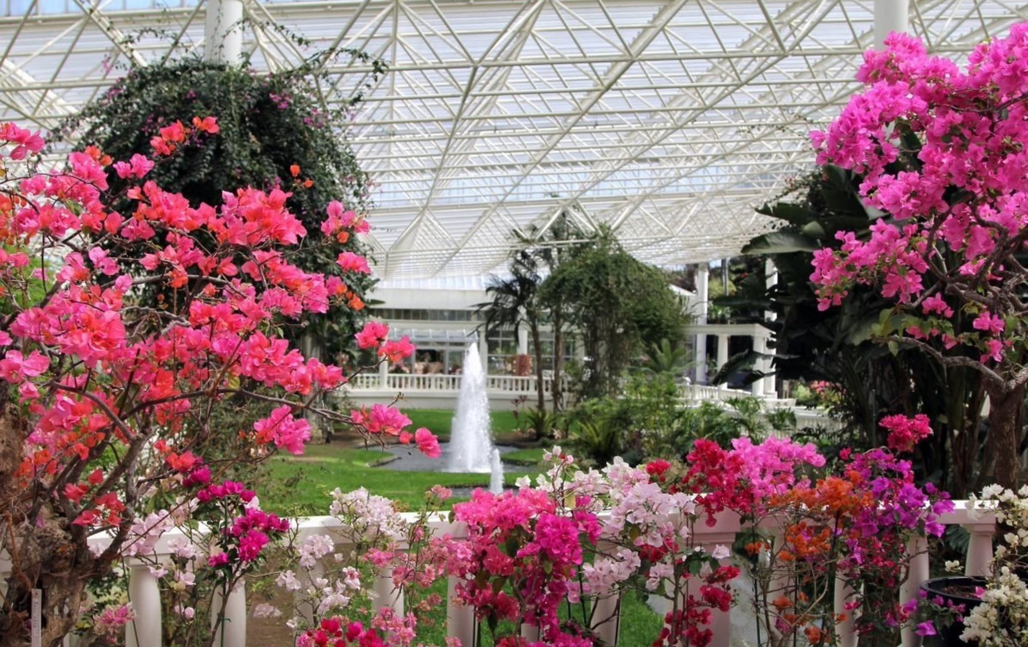 鹿儿岛花卉公园