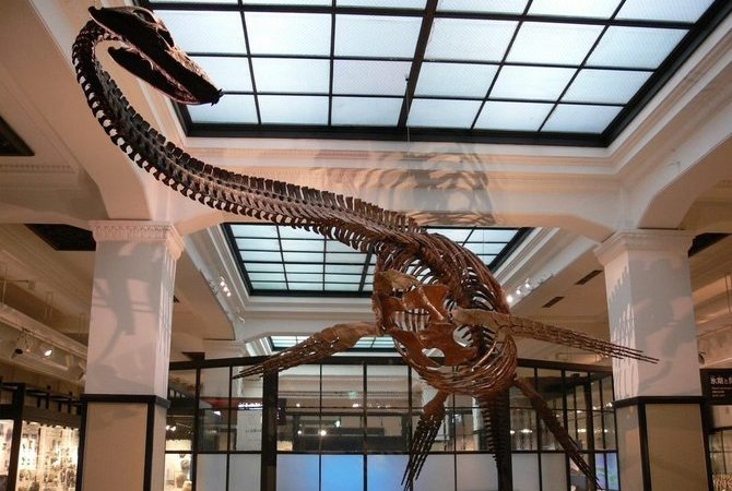 国立科学博物馆