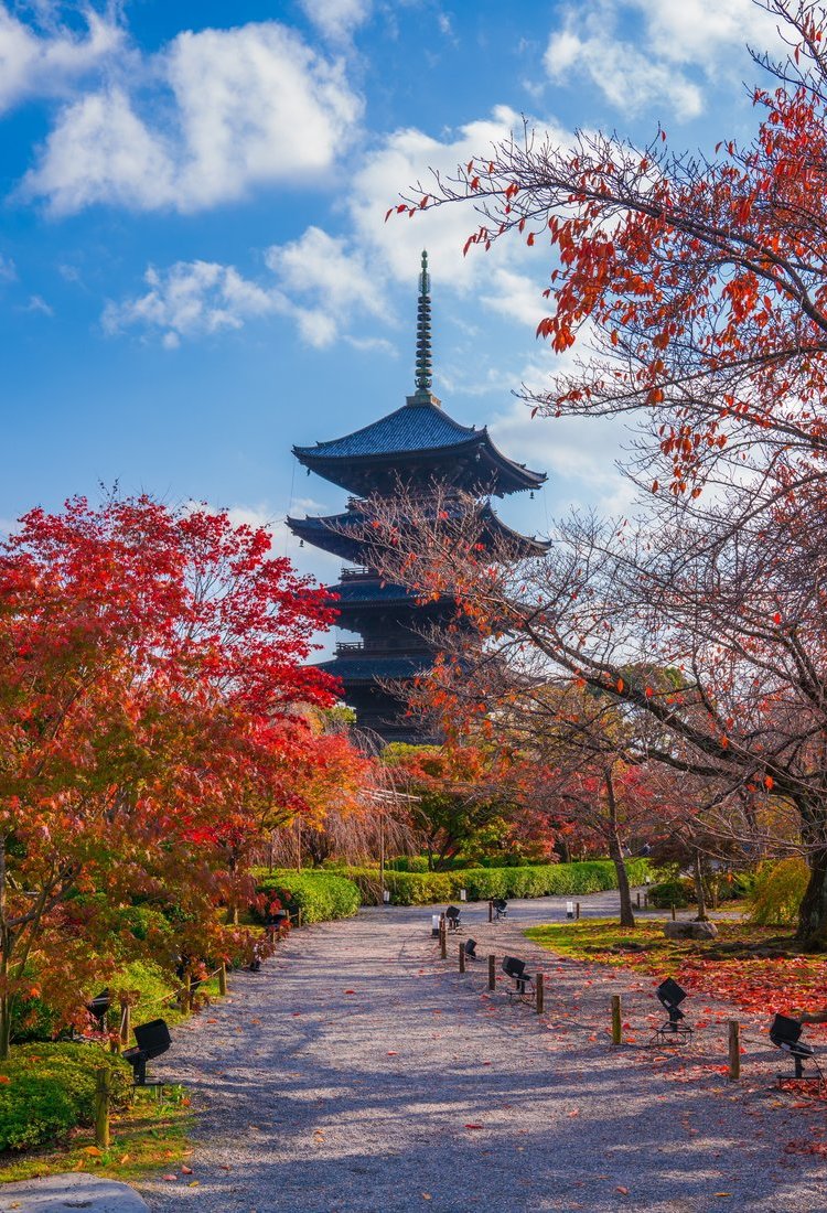 古京都遗址（京都、宇治和大津城）（联合国教科文组织）