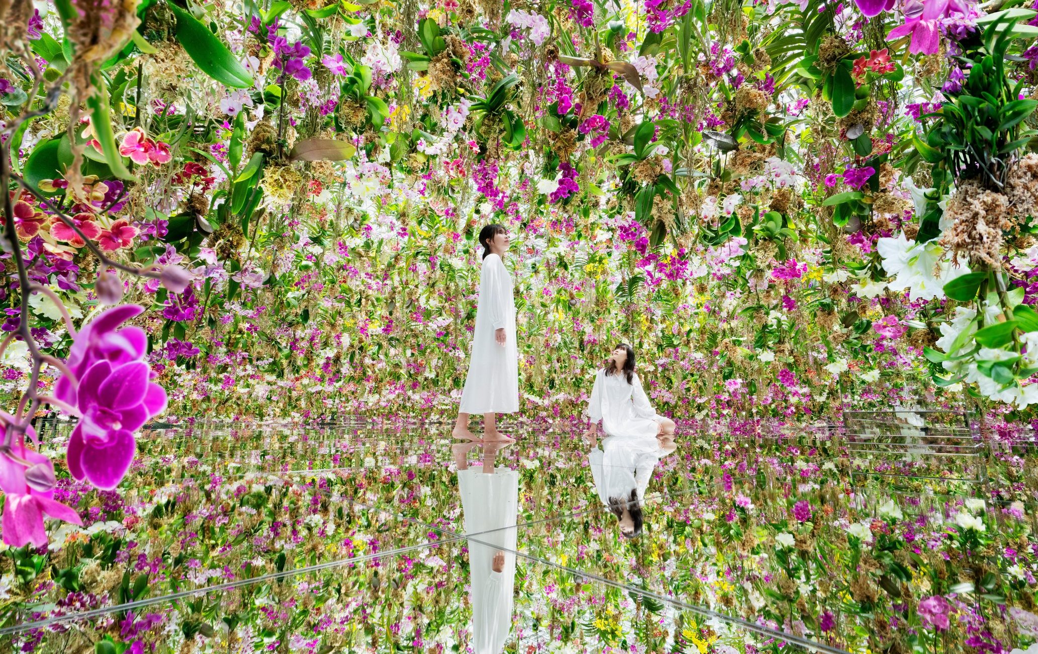 teamLab Planets 东京丰洲未来乐园光影展