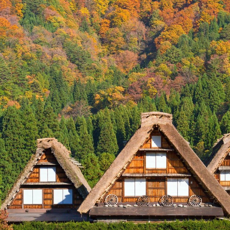 名古屋、高山与金泽