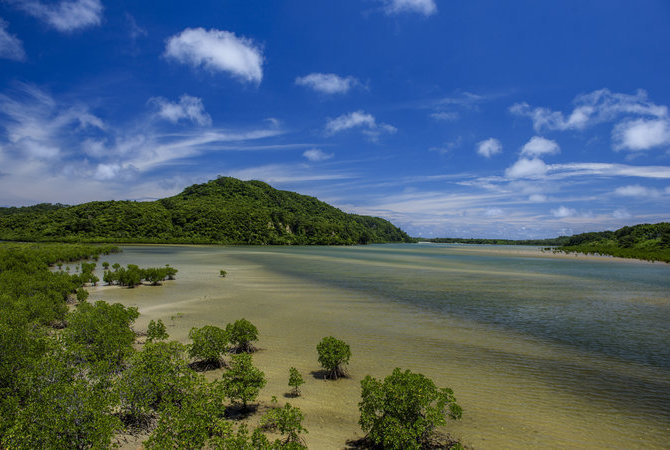 西表岛及山原——日本南部海域的生物多样性热点