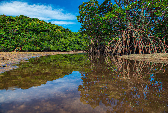 回归大自然探索冲绳壮丽的自然风光　联合国教科文组织在冲绳认定的世界自然遗产期待您来探索。 