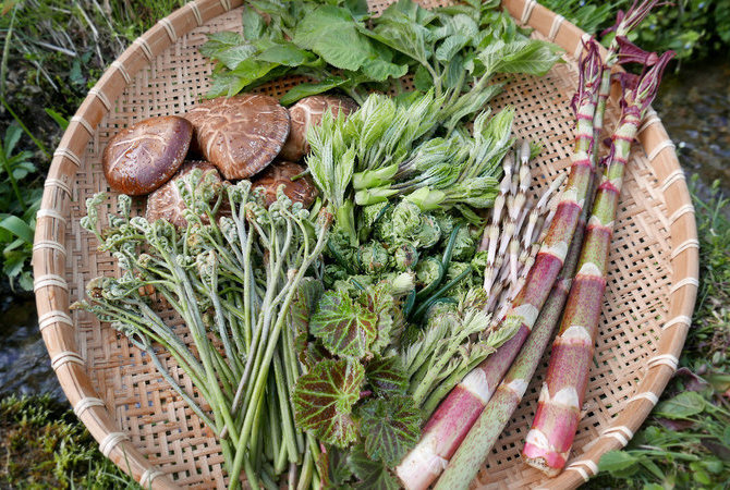 九州和中国地区的环保型住宿　　　　　　　日本的环保进程：流行语是如何变为现实的