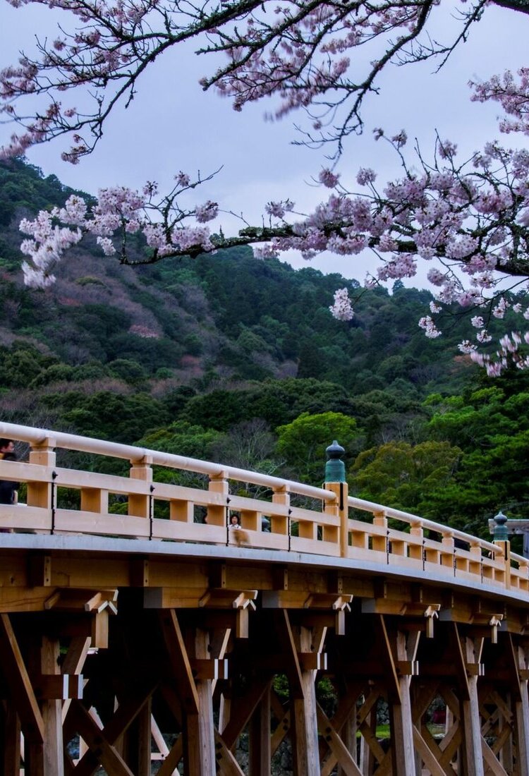 三重县文化探险：忍者与圣地巡礼的铁道之旅［特別企划］