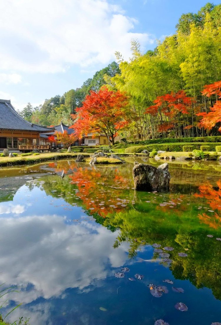 避开喧嚣享古韵——揭开日本“小京都”的魅力面纱　　　　　　　　　　　　　　　　　　　　　　　　　　　　探访鲜为人知的小众城镇，领略传统日本风情