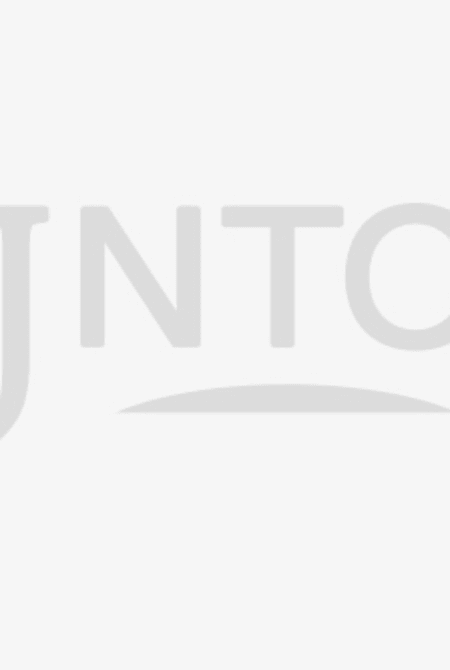 村山大岛春亚纺丝绸