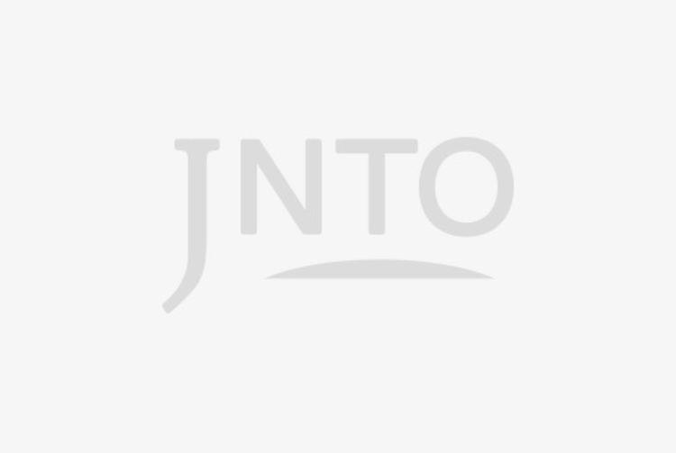 大使馆或领事馆